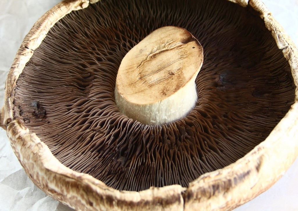 portobello-mushroom